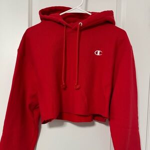 Champion Reverse Weave Cropped Hoodie
